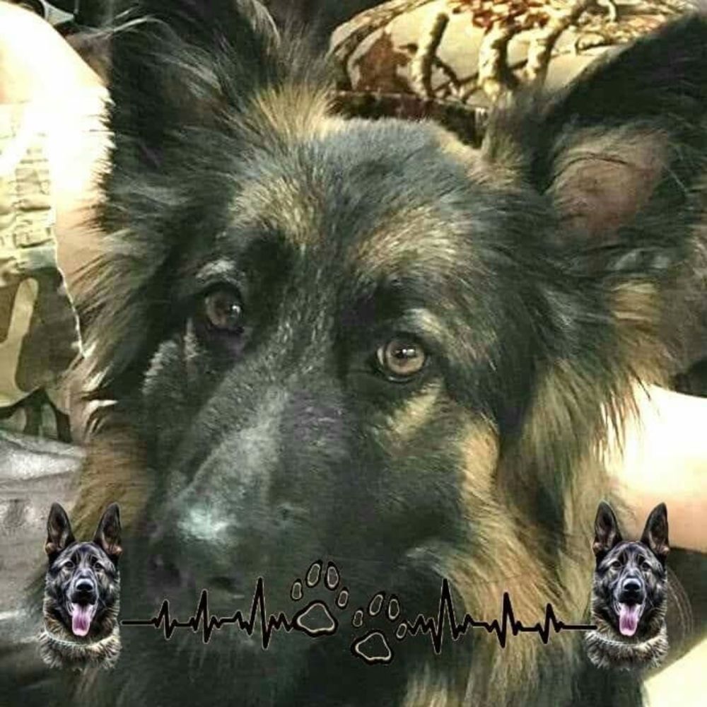 Meet your Posher, Shannon